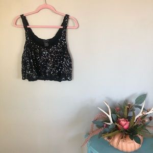 🌸EUC🌸 Talula Sequin Crop Top